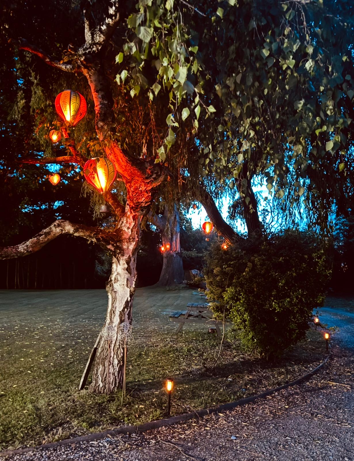 Garden at dusk with glowing lanterns